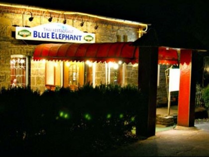 Photo: Blue Elephant